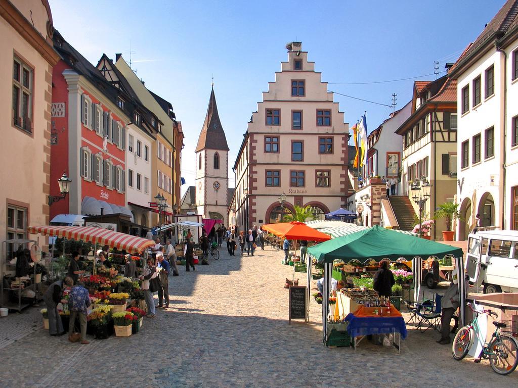 Apartment Braviscasa - Ferienresidenz Badnerstrasse Endingen Endingen am Kaiserstuhl